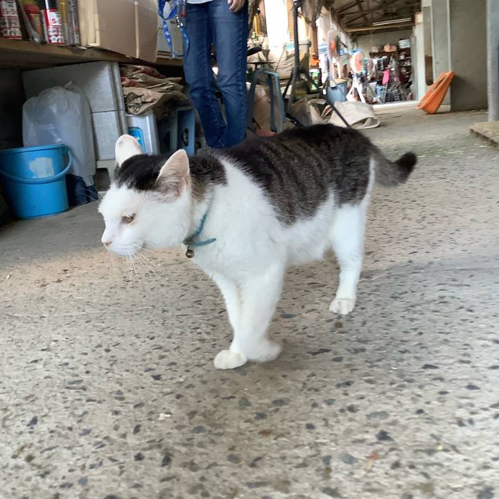 A7c7eec6 ecd1 4e62 96fa dd54ef7bda19 1627804729882