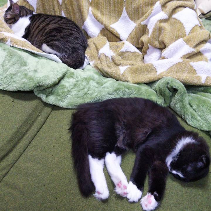 A7c838a7 be3e 4e79 87c1 6fa14af1958e 1644464705393