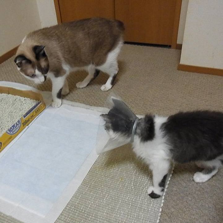 A7c8487e 82bd 403d b1b3 b81b3ded302c 1720653626199