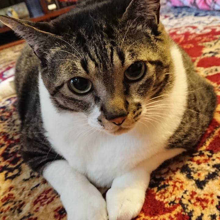 A7c85f03 7e7d 4727 a988 ea87ea2b7b37 1549320664610