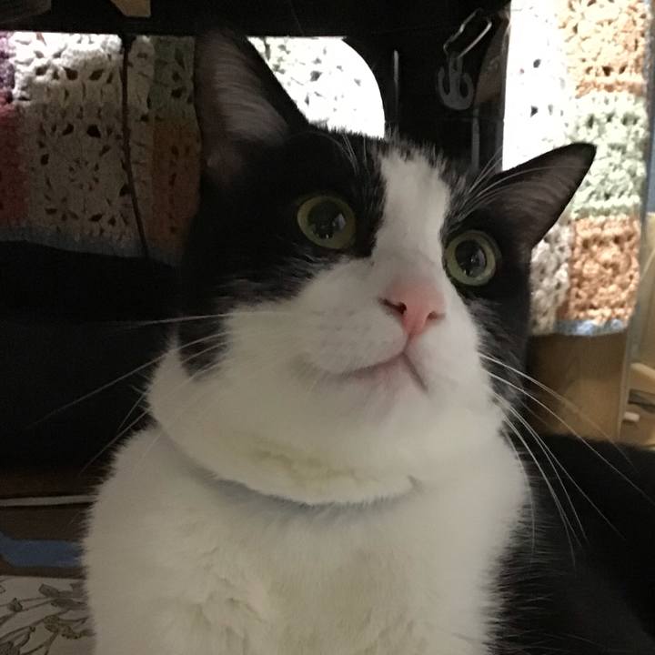 A7c863be e4d2 47cf aaf8 0da67f371864 1728820308283