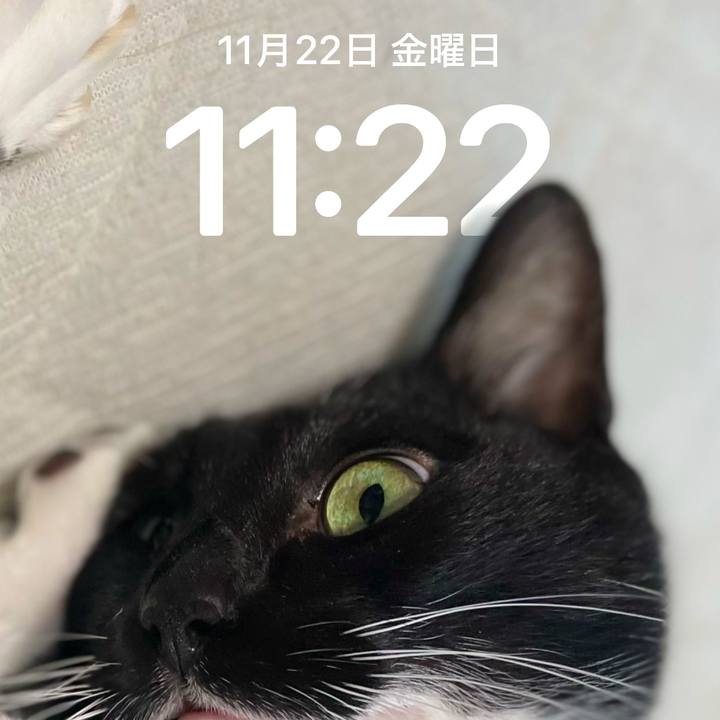 A7c866aa 544a 40d8 8550 6ce9152e5ad9 1732244700994