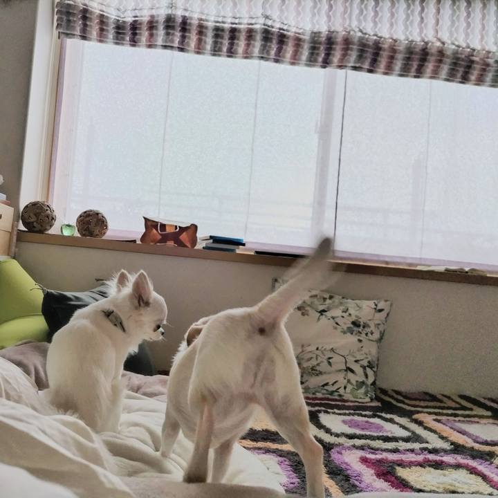 A7c87953 268f 42a0 a487 af9629229fe4 1748036104514