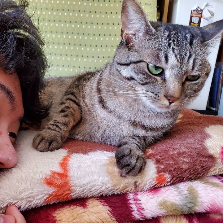 A7c893ad cab8 4522 8adc 26743c199f00 1712113539417