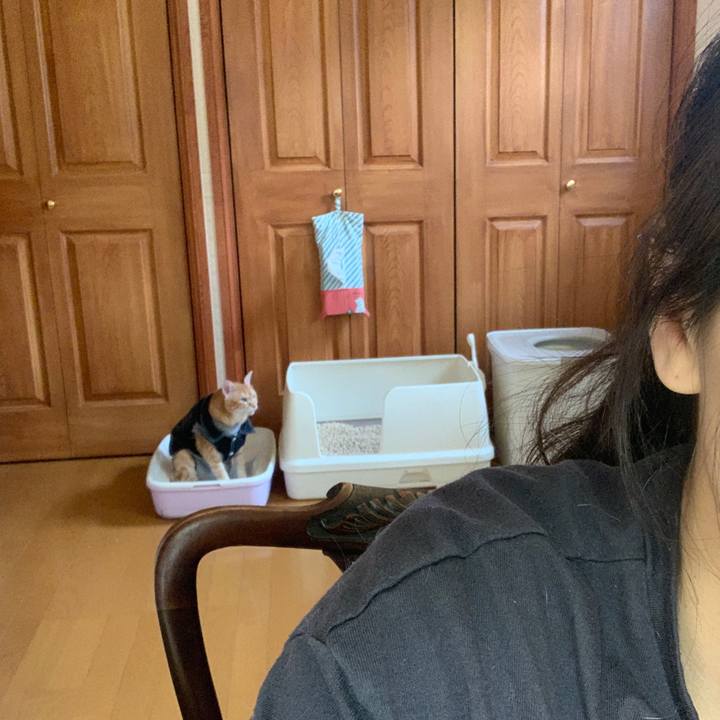 A7c8a42f 71d9 4afe a306 26f7656f2ca6 1652908692308