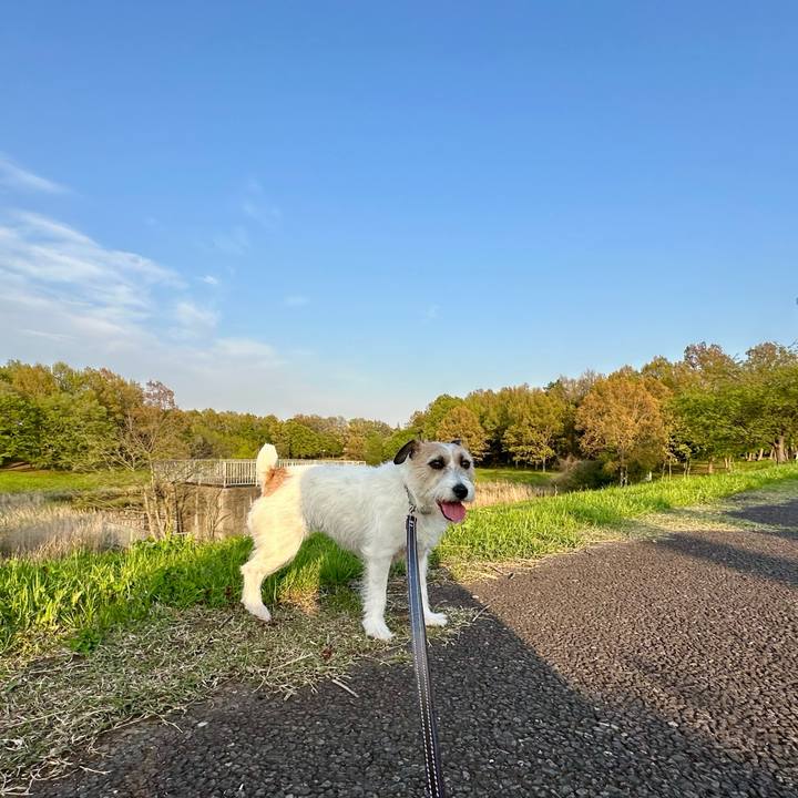 A7c8bdc1 2f4f 42c7 9df5 eb9a3c5f80ee 1744894690245