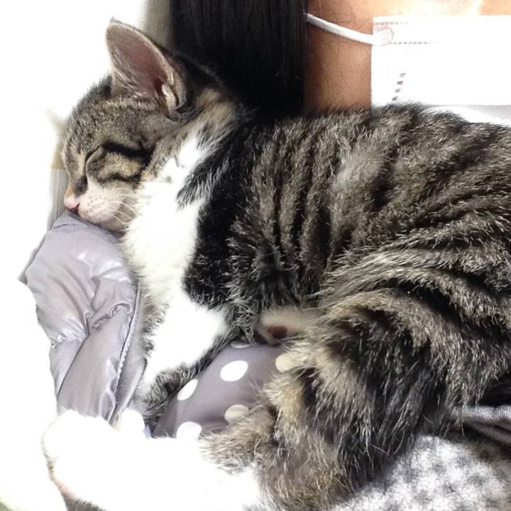 A7c9152f edc2 4bb3 9da4 a30aaa2e0960 1612733948890