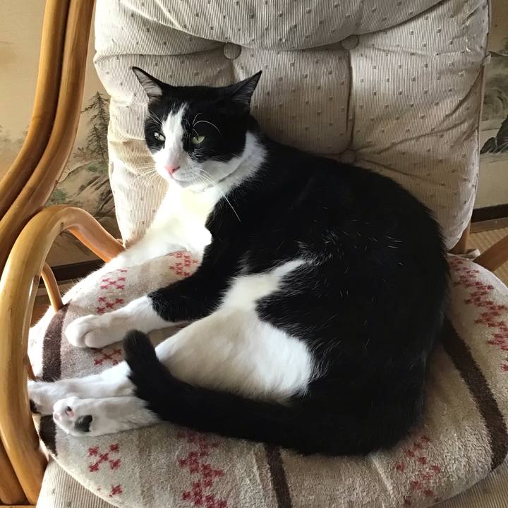 A7c91e48 fc14 4a3d 87d3 acdb60c6b6ec 1689592999995