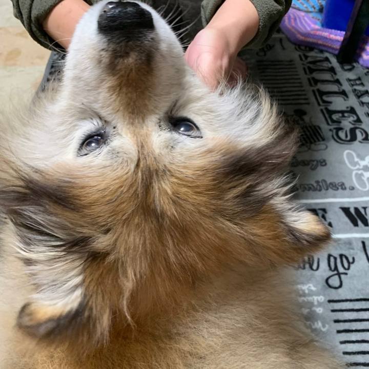 A7c929f7 e109 466d b717 69d0c50de982 1568674409321