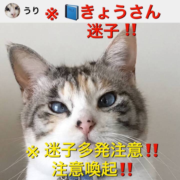 A7c93ac4 9754 4a83 856e 0028ac8cfbbe 1560261823083