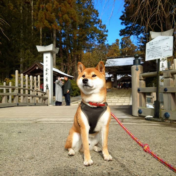 A7c9c148 5dec 4616 9473 1a49c410a289 1767093618074