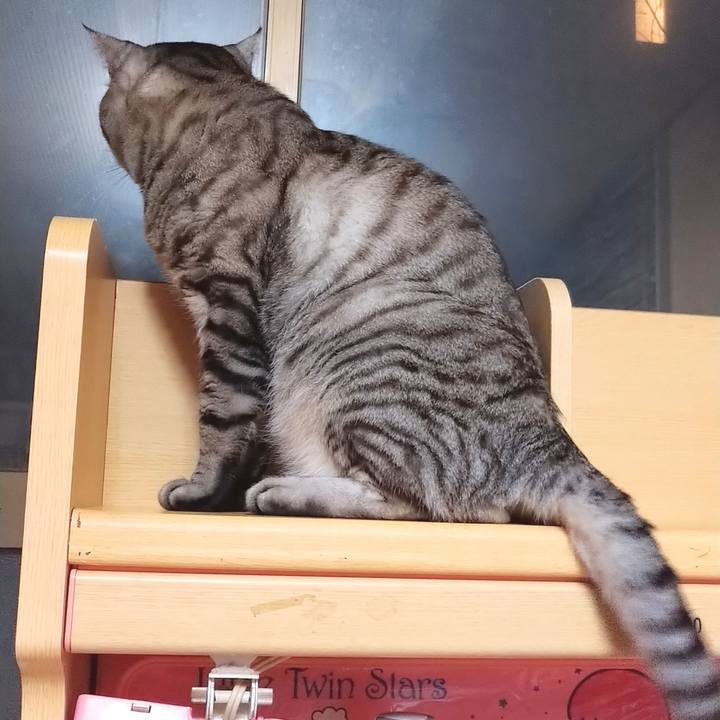 A7c9f2c9 bd76 4f8d 991d c1cb5f45b096 1589374768109