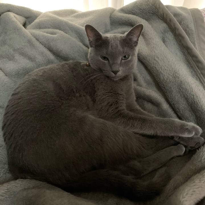 A7ca2450 2adc 4bcb b707 d5f1f89a9a08 1631757207656