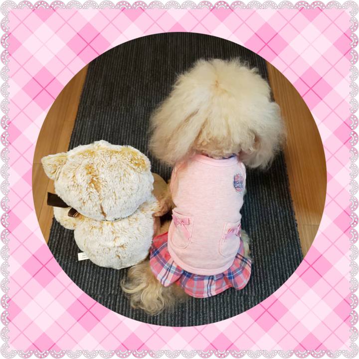 A7ca2c72 a693 46d2 829d 9023012855d5 1574427594255