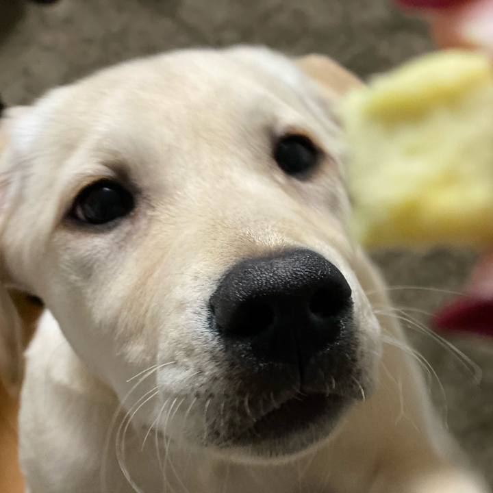 A7ca6807 7578 4794 b780 2749572b5955 1615034201123