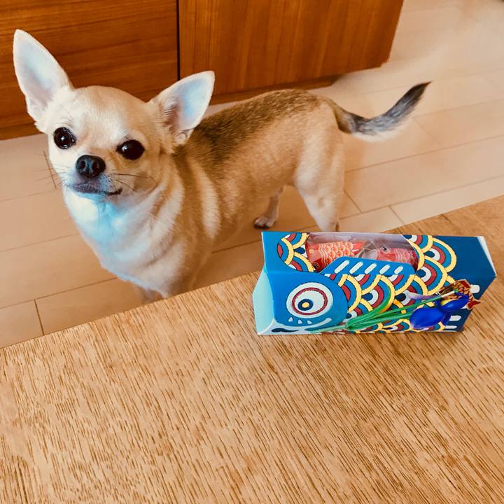 A7ca6fe2 9a27 48b1 a796 27dad3e8071b 1525482200995