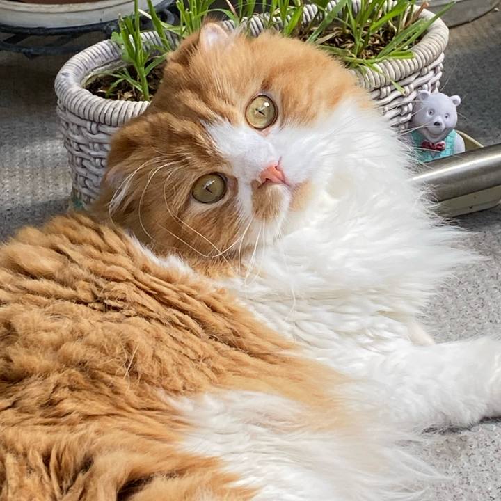 A7ca740c 0416 46d7 bc08 cc7822912a9b 1601517559890