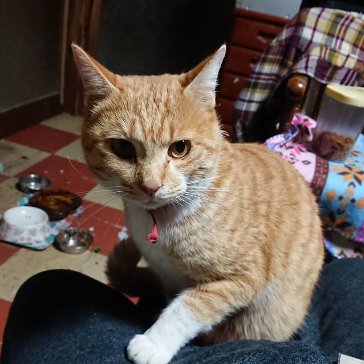 A7ca953f b9b9 46b9 8af5 7f085bbbc857 1575233287683