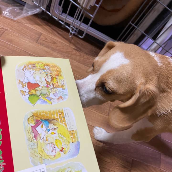 A7cadb25 4545 4314 b86a d28ff545adb8 1621076936652