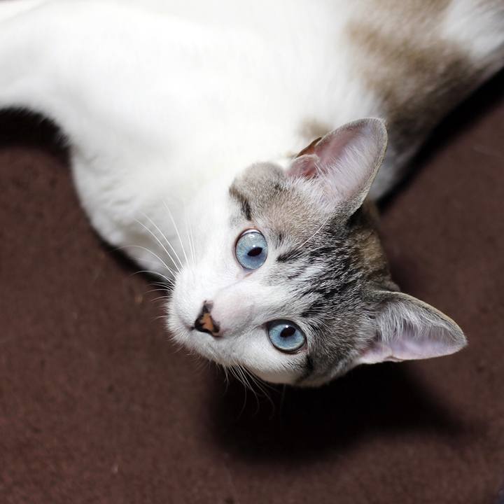 A7caea35 b0df 46cf 9a27 a3f170d4f06d 1637883860661