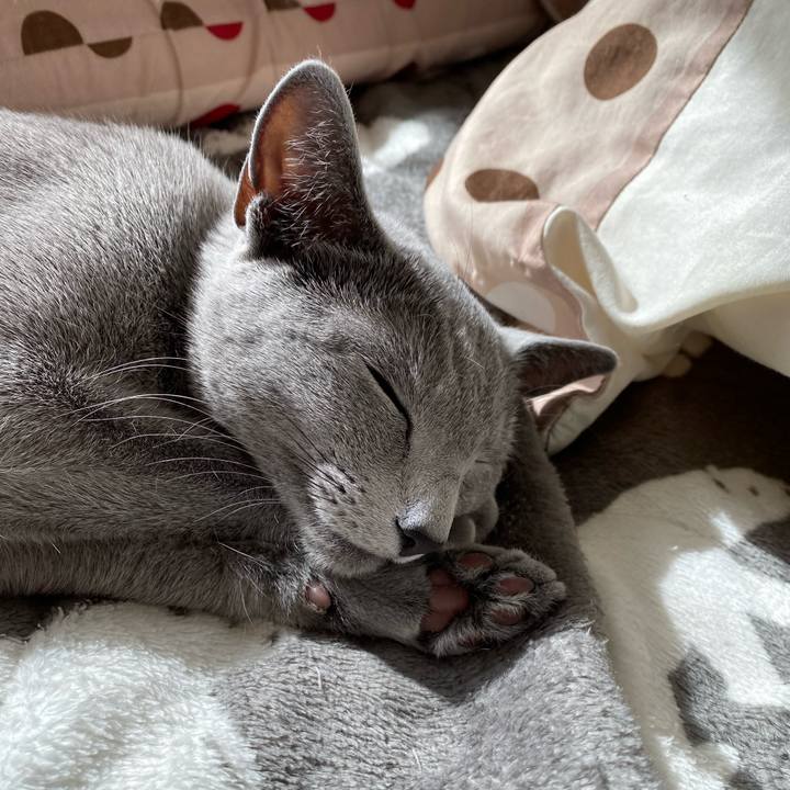 A7cb29bc 6565 43b9 86c1 c2e184b9b0ed 1643597266926