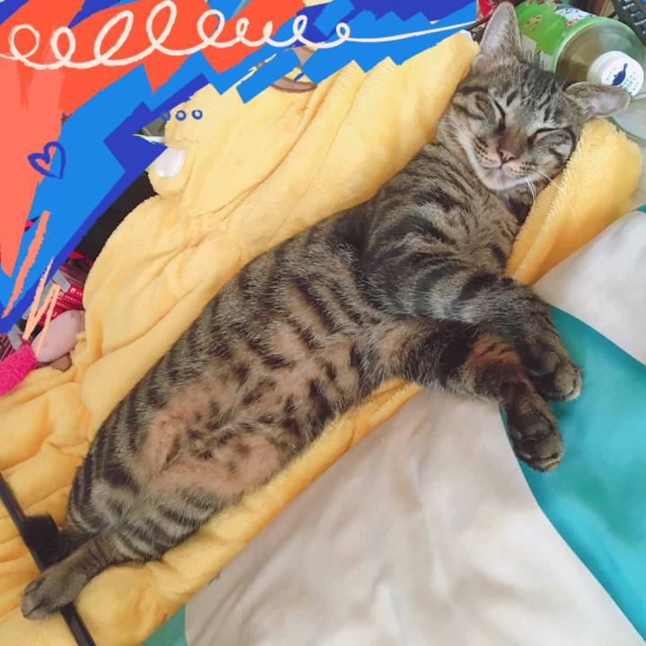 A7cb3396 e678 4d6f 84e9 d89c3c150823 1571445252684