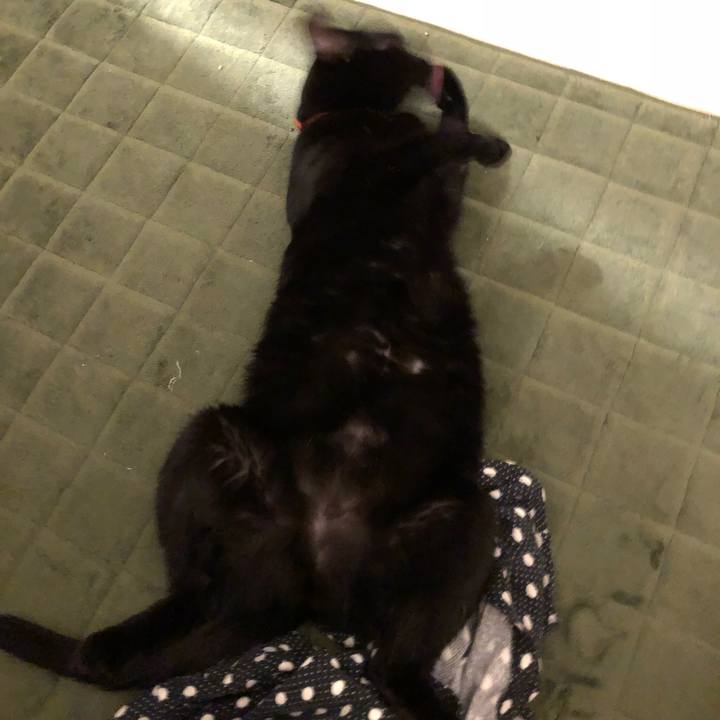 A7cb392a c499 43c9 91b3 ed03a8b4f3b5 1533296232328