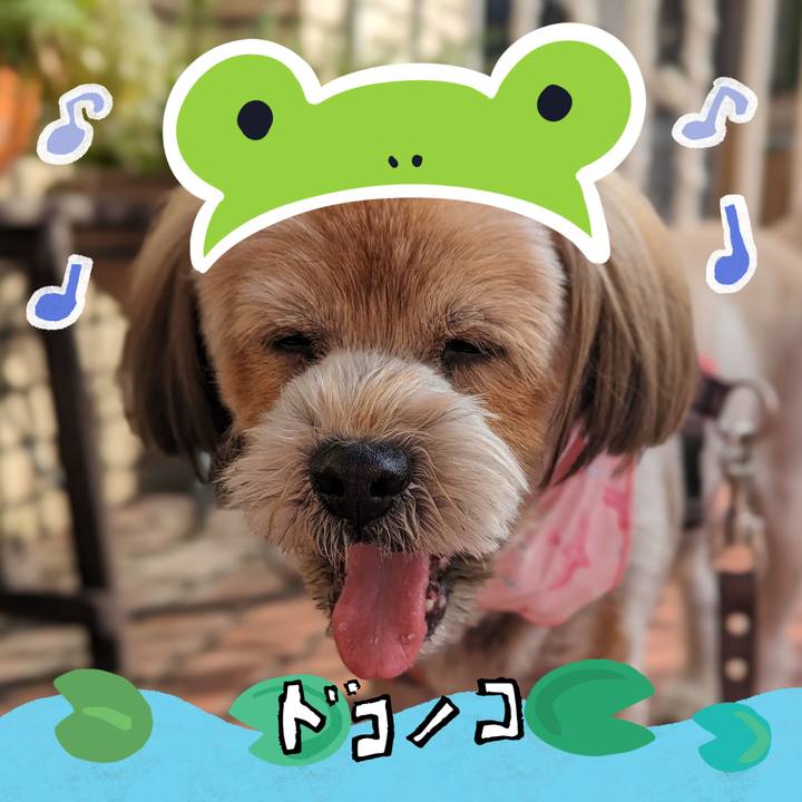 A7cb4313 74fc 455a 8509 083a53c01171 1717802634518