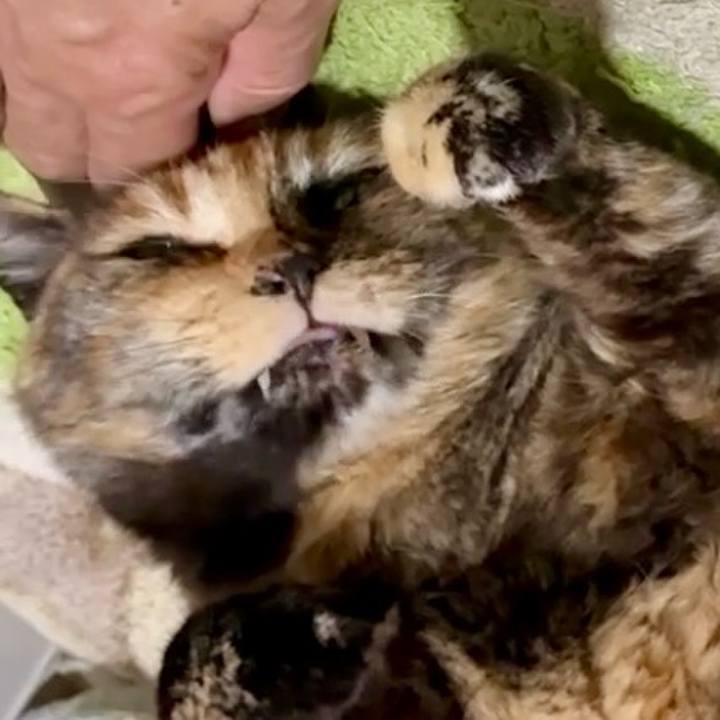 A7cb7a24 5546 4230 9d1a 82f01b5c2fac 1745236651408