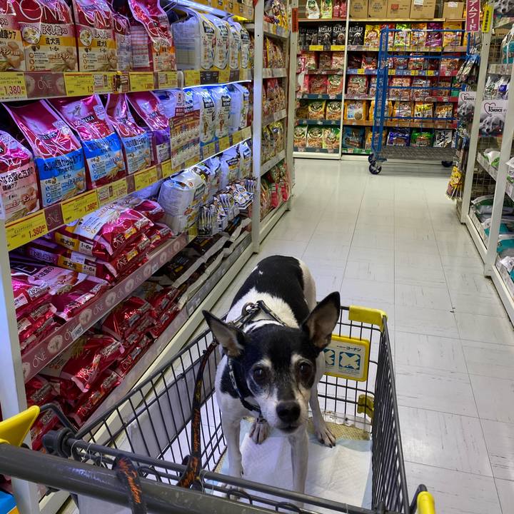 A7cb90a8 d0d9 4344 a75e 5f6117cbe3b8 1607215647924