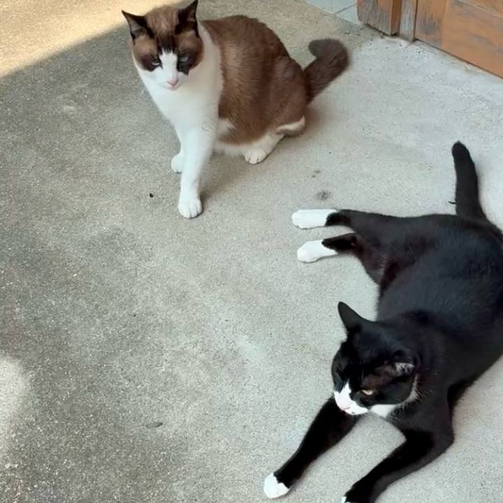 A7cbc2d9 b663 4dd9 a496 a94dc4f03fd7 1751942905188