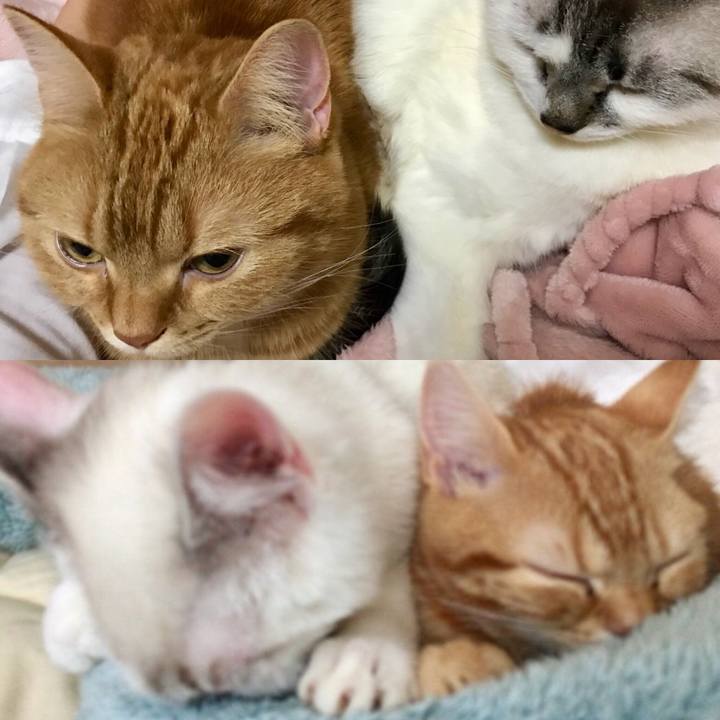 A7cbcd92 7681 41a2 ae76 0272c8e56861 1522405200219