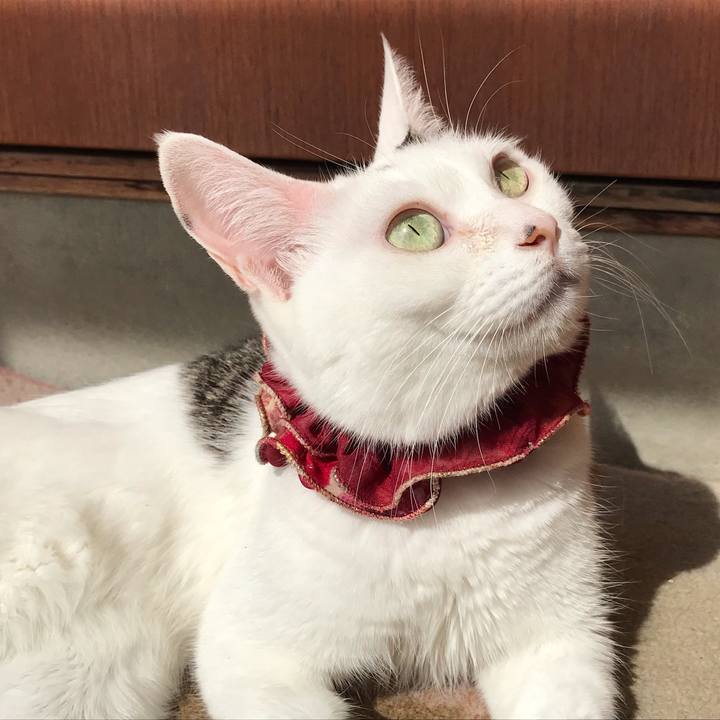 A7cbdf6c 854e 4d22 9de2 fdec6ac5863e 1569115151855