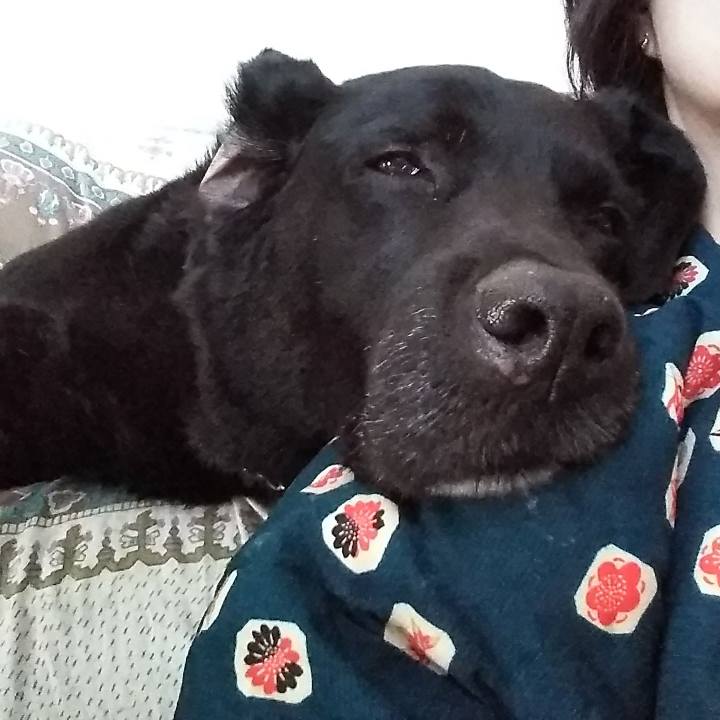 A7cc36b2 875e 49ab a201 f8da1b0a947a 1691806779889