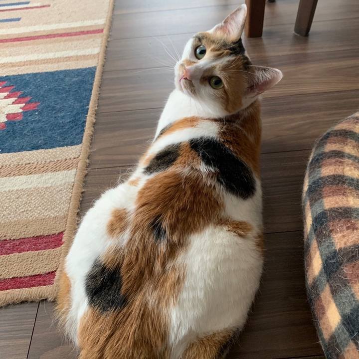 A7cc4f62 3000 4e1b 8809 659549a19ac4 1652392080278