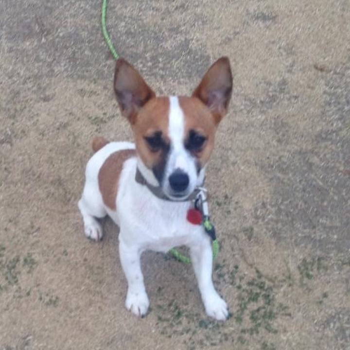 A7cc6379 a0fb 491a 983f ef8ad3e88702 1679097474600