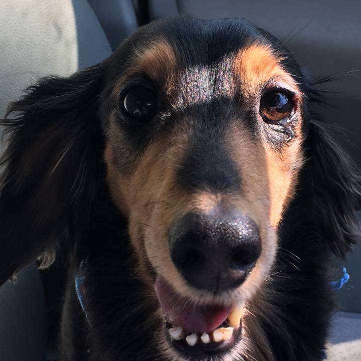 A7cc693e a45d 4d94 b8cb 5815577d8a65 1521938437276