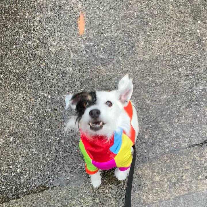 A7cc70e8 dd9e 4597 8e35 006b2a254736 1682497035195