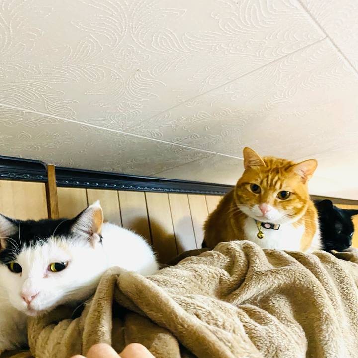 A7cc7466 2902 4944 b05c 7dd72e6dc617 1675116968864