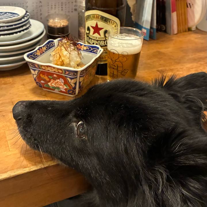 A7cc76d3 33bb 4b19 b0f3 2b24490c1262 1758375399409