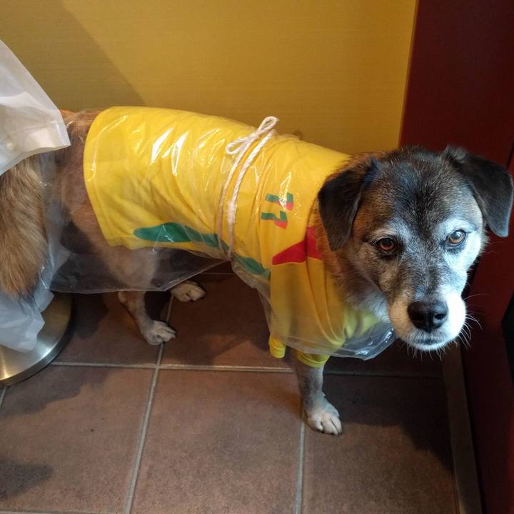 A7cc8ba2 b974 499b a4a0 33b806735ace 1536881948180