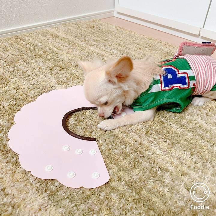 A7ccbf1b 4a76 4bd9 bfa1 be8b80884f8d 1599024452796