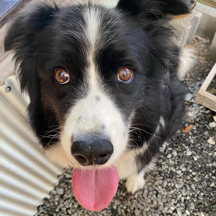 A7ccc36b c96a 4230 be5d ed9467aed6d7 1632874519668