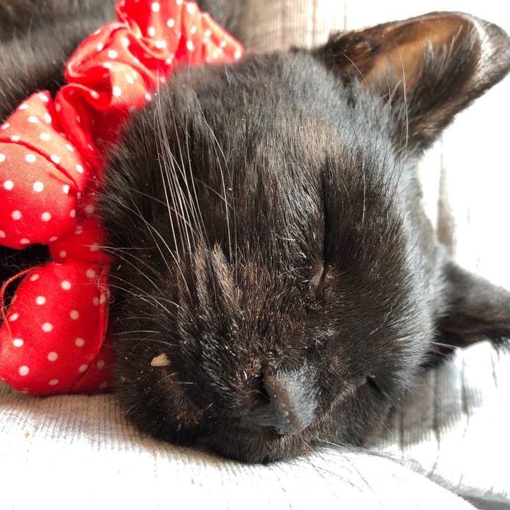 A7ccf09b 75c8 482b a4b7 364ef523efe5 1559112321623