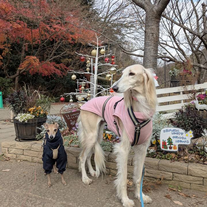 A7cd0cf5 5721 4ab9 b001 4368b572505d 1765625961126