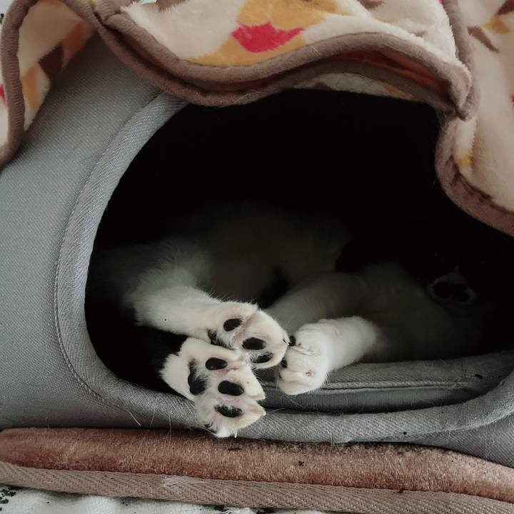 A7cd1b3f 2dc0 4e5d 9ad2 76cf76d53127 1673749216463