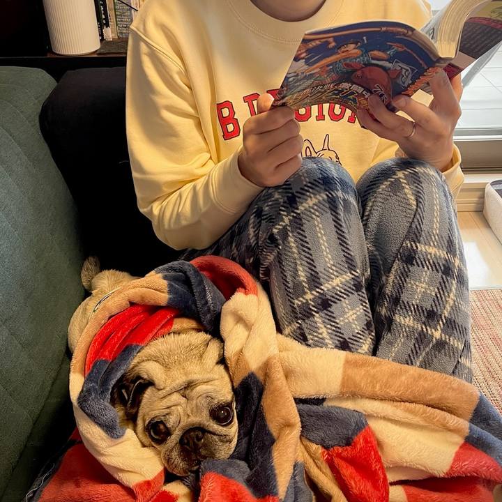 A7cd205c 2358 4a1c b191 03d0ed64b9e1 1762919136305