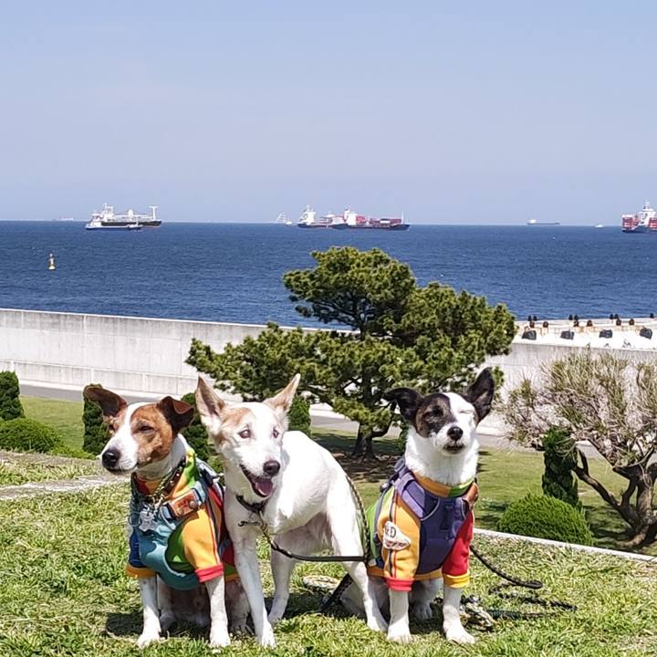 A7cd2eea f016 44c1 bff5 055fdec3e77d 1745749510245