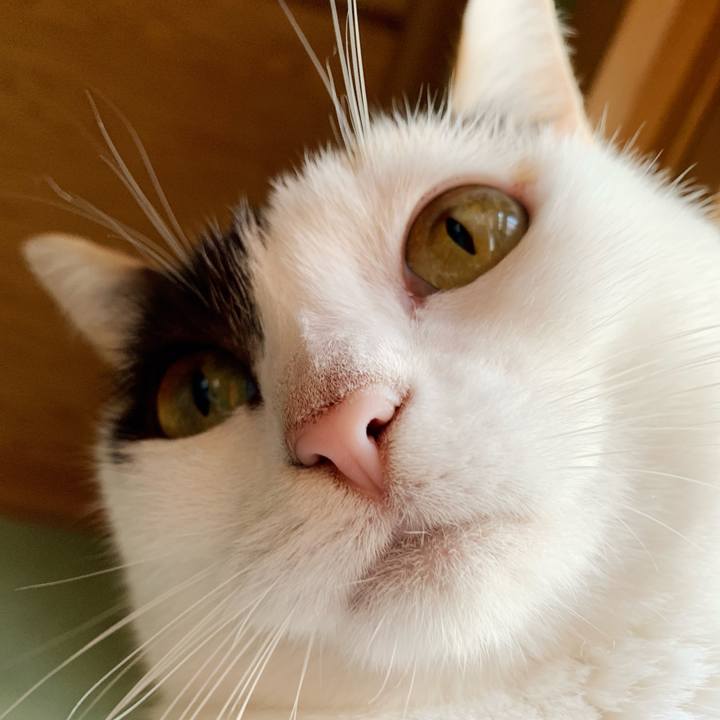 A7cd5ade 58d3 40e2 8ad3 8eef98da140d 1542072704690