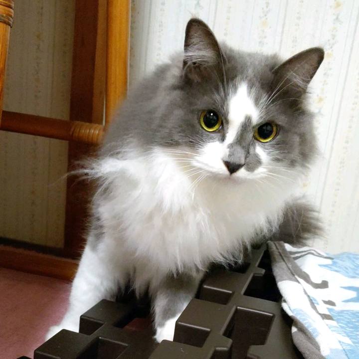 A7cd7094 15ce 4fd3 988a 28ee9fdc2141 1615014546650